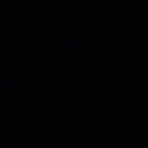 Meet your Posher, Raquel